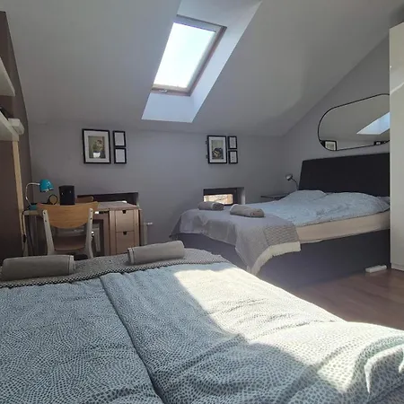 Guest house Prusa 7 *
